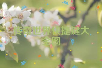 传奇世界快捷键大全图