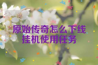 原始传奇怎么下线挂机使用任务