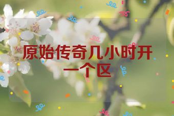 原始传奇几小时开一个区