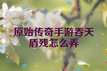 原始传奇手游吞天盾残怎么弄