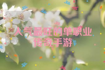 人气最旺的单职业传奇手游