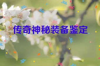 传奇神秘装备鉴定