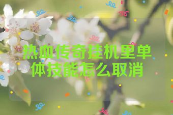 热血传奇挂机里单体技能怎么取消