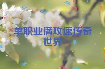 单职业满攻速传奇世界