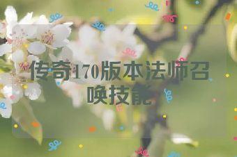 传奇170版本法师召唤技能