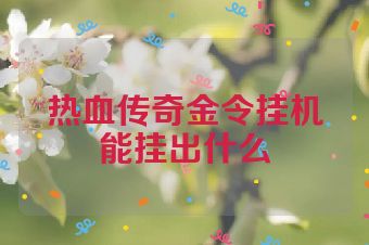 热血传奇金令挂机能挂出什么