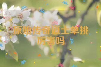 原始传奇道士单挑厉害吗