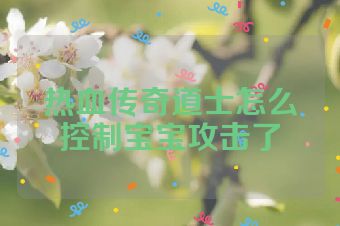 热血传奇道士怎么控制宝宝攻击了