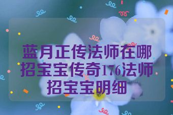 蓝月正传法师在哪招宝宝传奇176法师招宝宝明细