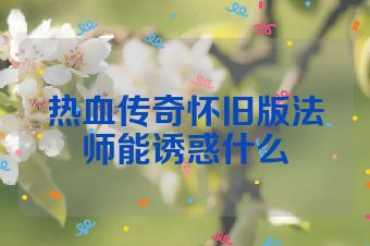热血传奇怀旧版法师能诱惑什么