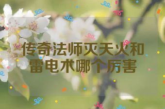 传奇法师灭天火和雷电术哪个厉害