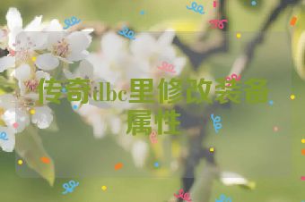 传奇dbc里修改装备属性