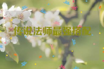 传说法师最强搭配