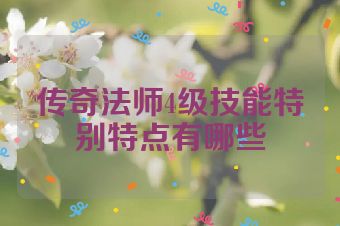 传奇法师4级技能特别特点有哪些