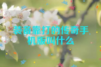 装备靠打的传奇手机版叫什么