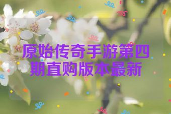 原始传奇手游第四期直购版本最新