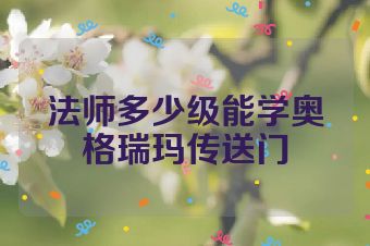 法师多少级能学奥格瑞玛传送门