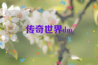 传奇世界dm
