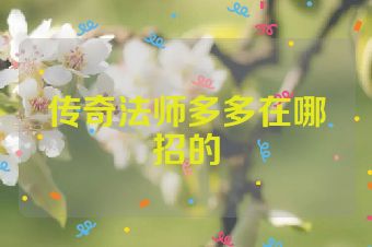 传奇法师多多在哪招的