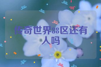 传奇世界88区还有人吗