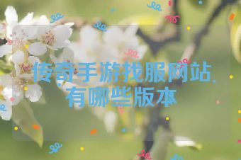 传奇手游找服网站有哪些版本