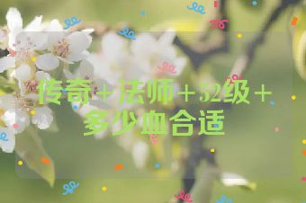 传奇+法师+52级+多少血合适