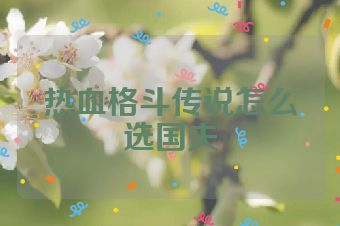 热血格斗传说怎么选国夫