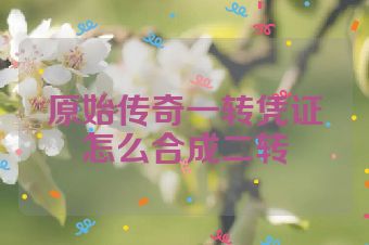 原始传奇一转凭证怎么合成二转