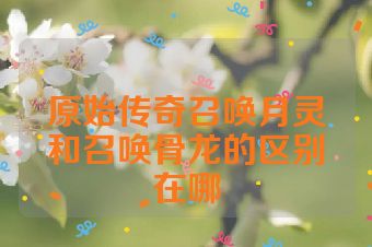 原始传奇召唤月灵和召唤骨龙的区别在哪