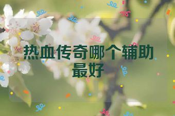 热血传奇哪个辅助最好