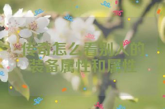 传奇怎么看别人的装备属性和属性
