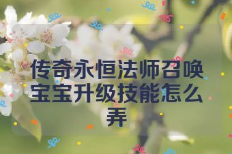 传奇永恒法师召唤宝宝升级技能怎么弄