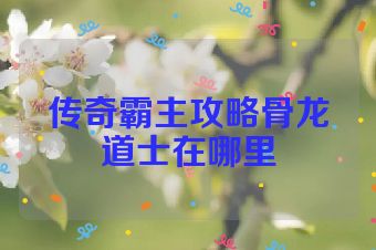 传奇霸主攻略骨龙道士在哪里