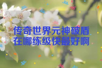 传奇世界元神破盾在哪练级快最好啊