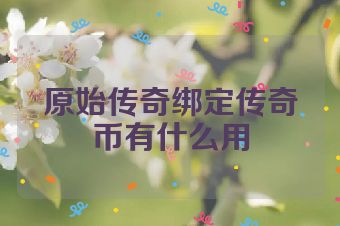 原始传奇绑定传奇币有什么用