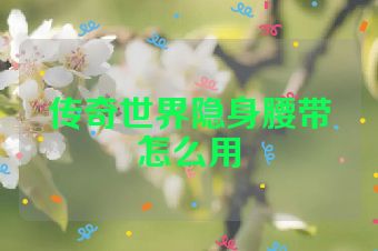 传奇世界隐身腰带怎么用