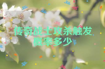 传奇战士攻杀触发概率多少