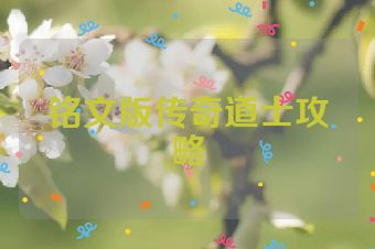 铭文版传奇道士攻略