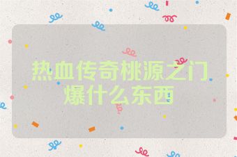 热血传奇桃源之门爆什么东西