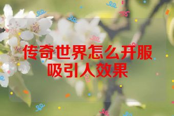 传奇世界怎么开服吸引人效果