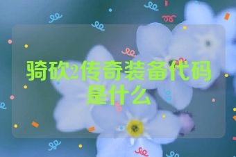 骑砍2传奇装备代码是什么