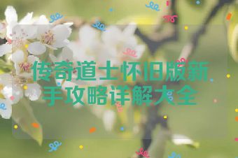 传奇道士怀旧版新手攻略详解大全
