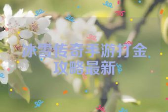 冰雪传奇手游打金攻略最新