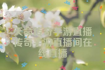 天命传奇手游直播传奇手游直播间在线直播