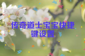 传奇道士宝宝快捷键设置