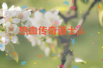 热血传奇道士pk