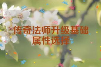 传奇法师升级基础属性选择