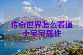传奇世界怎么看道士宝宝属性