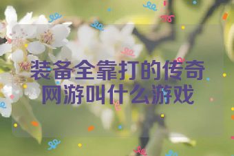 装备全靠打的传奇网游叫什么游戏