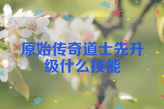 原始传奇道士先升级什么技能